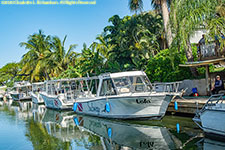 docked dive boats